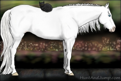 Horse Color: Cremello Dun Sabino Blanket 