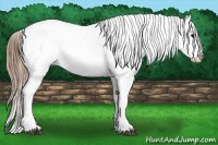 Horse Color:Grullo Splash Tobiano Blanket 