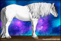 Horse Color:Grullo Splash Tobiano 