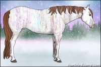 Horse Color:ERROR: UNKNOWN ANOMALY Brindle