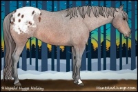 Horse Color:Bay Blanket 