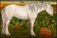 Horse Color:Chocolate Palomino Pearl Dun Rabicano