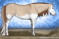 Horse Color:Red Dun Splash  Brindle