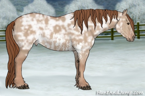 Horse Color: Red Dun Ice Splash  Brindle
