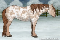 Horse Color:Red Dun Ice Splash Brindle