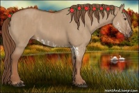 Horse Color:Red Dun Splash  Brindle