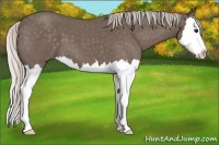 Horse Color:Silver Blue Roan Splash 