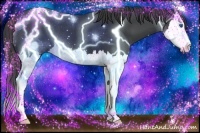 Horse Color:Black Splash 