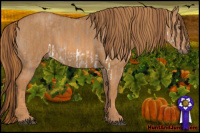 Horse Color:Red Dun Splash  Brindle