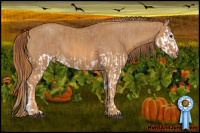 Horse Color:Red Dun Splash  Brindle