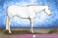 Horse Color:Buckskin Dun Near Fewspot 