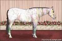 Horse Color:Bay Ice Roan Appaloosa 