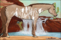 Horse Color:Red Dun Splash Brindle