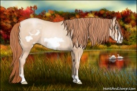 Horse Color:Amber Champagne Pearl Frame Rabicano