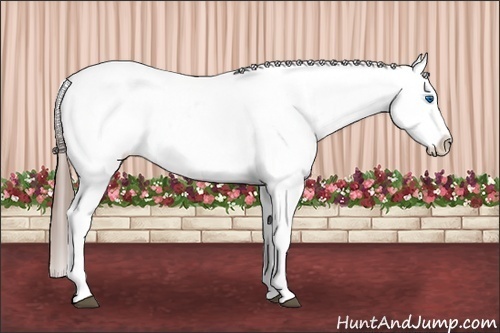 Horse Color: Black Splash Varnish 