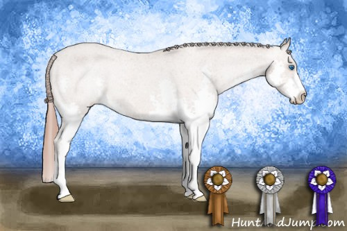 Horse Color: Sable Champagne Splash Varnish Rabicano 