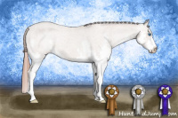 Horse Color:Sable Champagne Splash Varnish Rabicano 