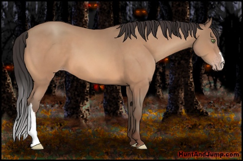 Horse Color: Sable Champagne 
