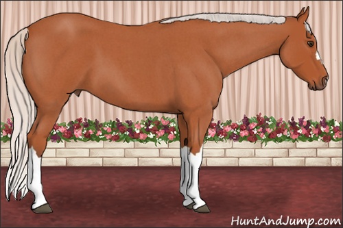 Horse Color: Silver Bay Roan 