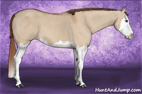 Horse Color: Red Dun Splash  Brindle