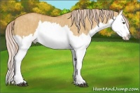 Horse Color:Palomino Dun Splash Brindle