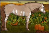 Horse Color:Red Dun Splash  Brindle