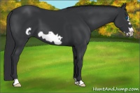 Horse Color:Black Frame