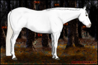 Horse Color:Palomino Leopard 