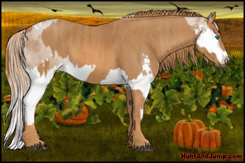 Horse Color: Liver Red Dun Sabino Splash  Brindle