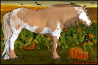 Horse Color:Liver Red Dun Sabino Splash  Brindle