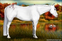 Horse Color:Watercolor Bay Splash Varnish 