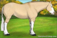 Horse Color:Silver Buckskin Dun Splash 