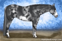 Horse Color:White Spotted Black Frame