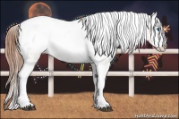 Horse Color:Bay Roan Dun Splash Appaloosa Rabicano Brindle