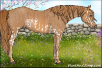 Horse Color:Red Dun Splash Brindle