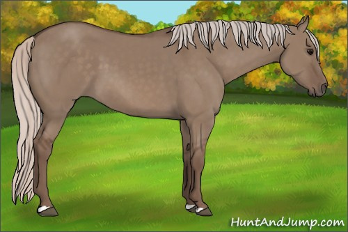 Horse Color: Silver Grullo 