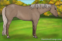 Horse Color:Silver Grullo 