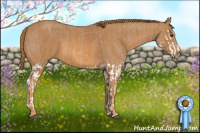 Horse Color:Red Dun Splash Brindle