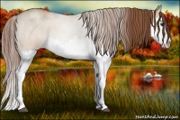 Horse Color:Red Dun Splash Brindle