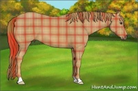 Horse Color:Plaid  Chestnut 