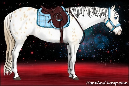 Horse Color:Buckskin Roan Splash Blanket Rabicano 
