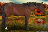 Horse Color:Brown 