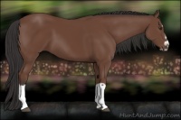 Horse Color:Bay Splash Frame 