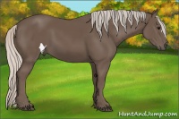Horse Color:Silver Black 