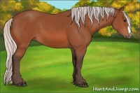 Horse Color:Silver Bay