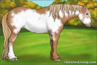 Horse Color:Chestnut Frame 