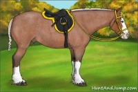 Horse Color:Silver Bay Roan Splash 