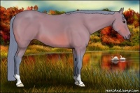 Horse Color:Watercolor Bay 