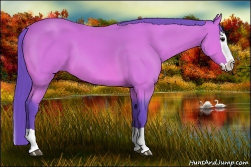 Horse Color: Watercolor Bay Splash 