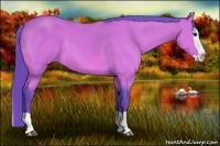 Horse Color:Watercolor Bay Splash